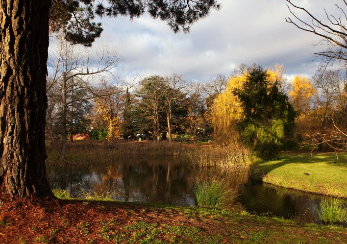 Malmsbury Botanic Garden and Lake, Australia